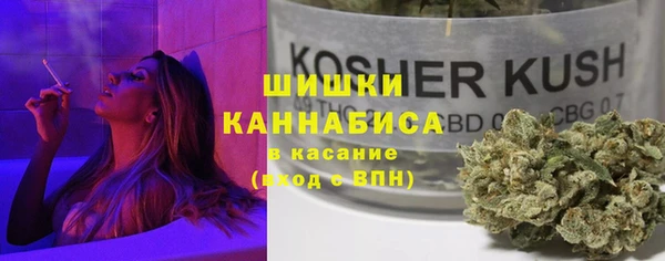 ГАЛЛЮЦИНОГЕННЫЕ ГРИБЫ Аркадак