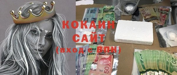 ГАЛЛЮЦИНОГЕННЫЕ ГРИБЫ Аркадак